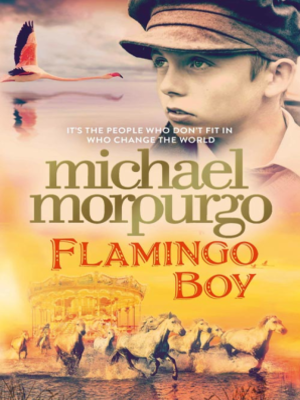 cover image of Flamingo Boy